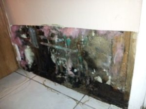What You Need to Know About Wall Leaks 