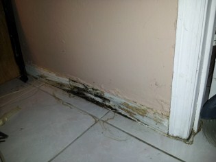 orlando Water Intrusion